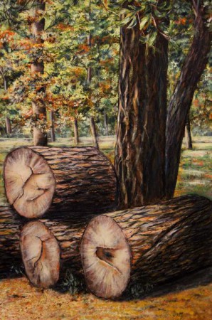 Ősz húrja zsong... 60x40 cm